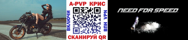 Альфа ПВП СК  KRAKEN tor  Череповец 