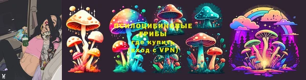 2c-b Карпинск