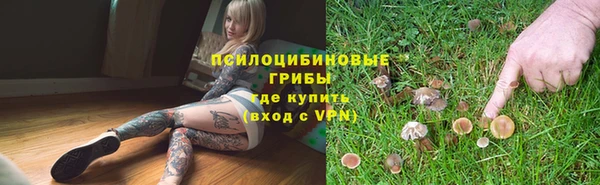 2c-b Карпинск