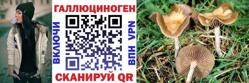 Псилоцибиновые грибы ЛСД  магазин    Череповец 