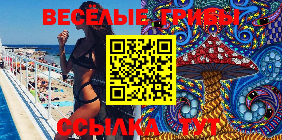 Псилоцибиновые грибы GOLDEN TEACHER  Череповец 