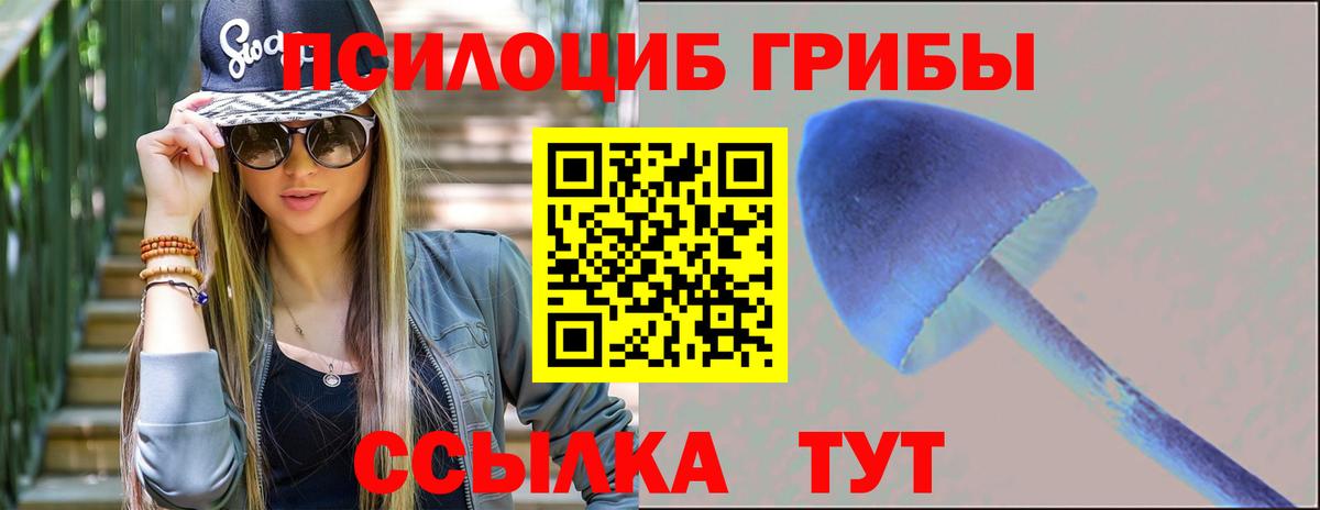 Череповец  Псилоцибиновые грибы прущие грибы  Вход с VPN 