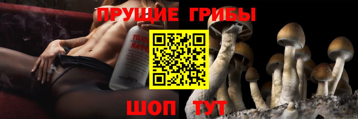 Галлюциногенные грибы ЛСД Череповец